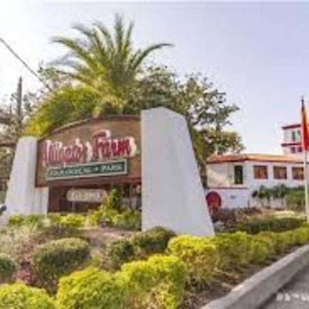 Beach Side Complex B23 1 Bed 1 Bath W/Heated Pool St. Augustine Exterior foto
